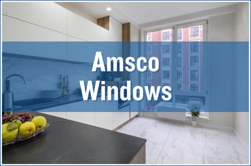 Amsco Windows Cost
